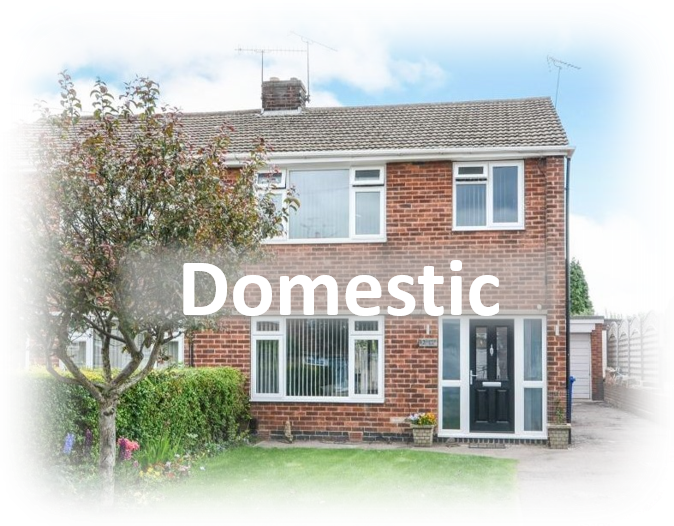 Domestic house